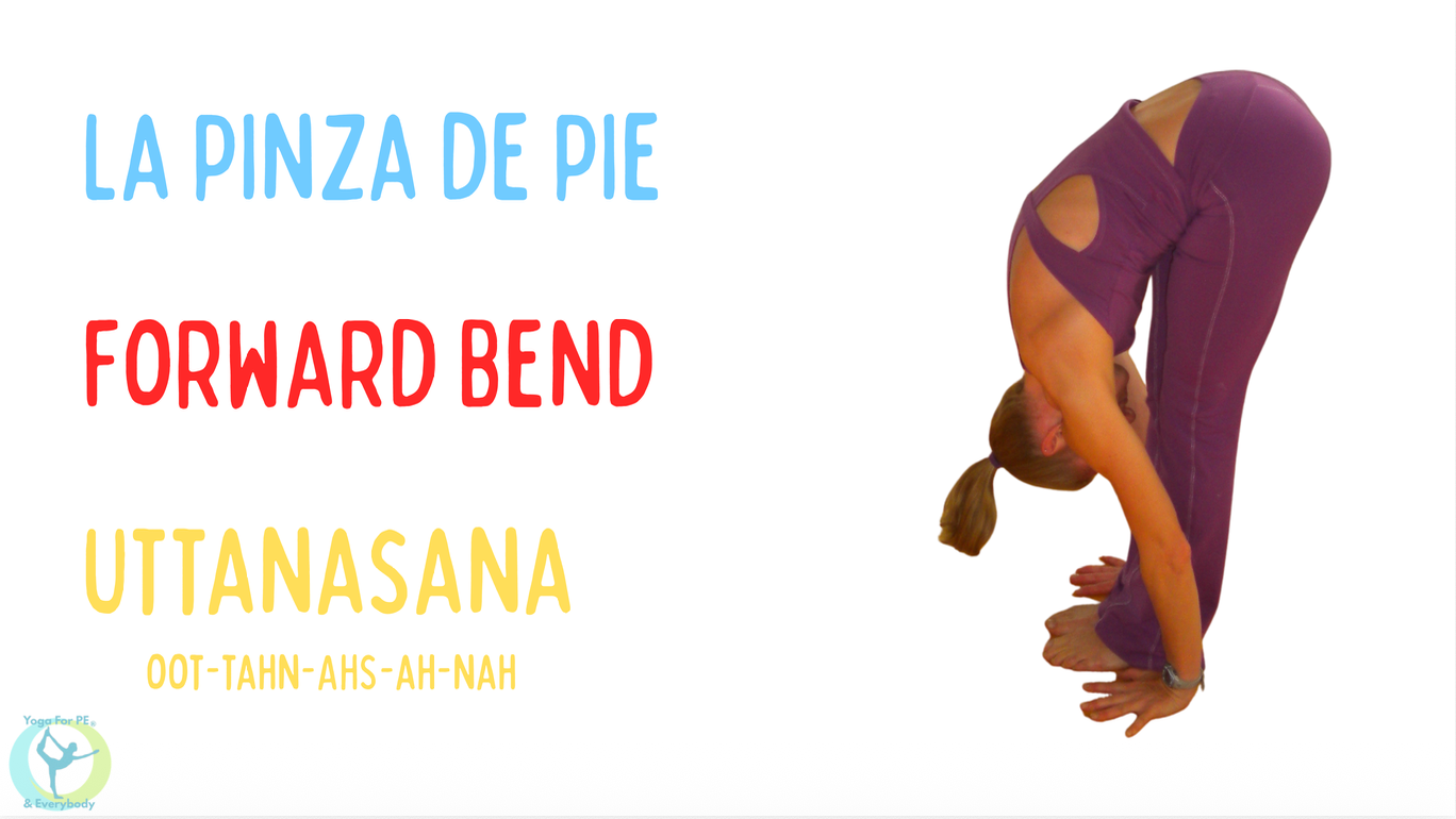 Forward Bend pose card in Spanish–English–Sanskrit arrangement: LA PINZA DE PIE / FORWARD BEND / UTTANASANA with phonetic pronunciation and pose photo