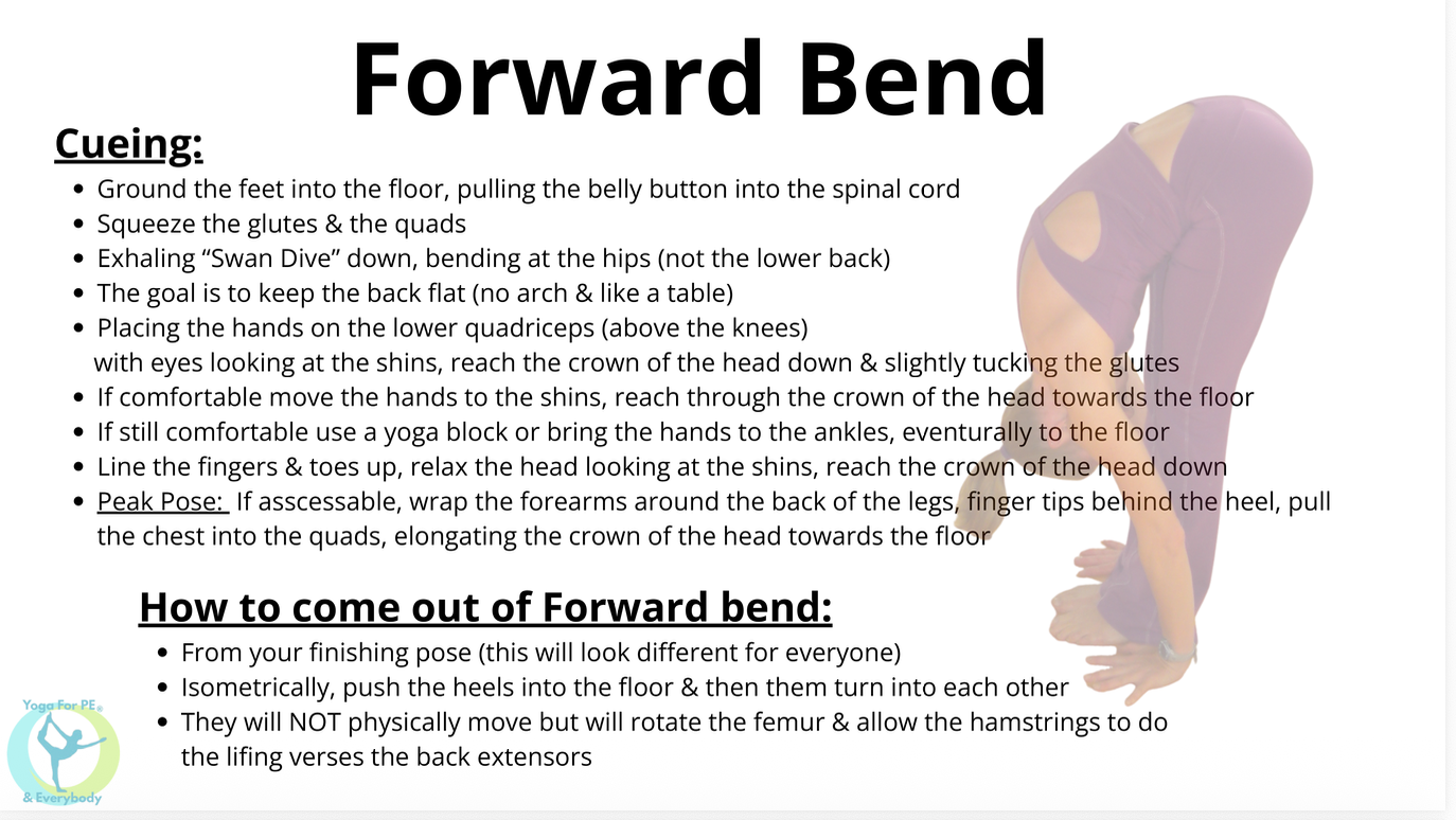 Forward Bend cueing card with step-by-step alignment cues and instructions for coming out of the pose safely